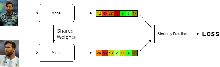 siamese network