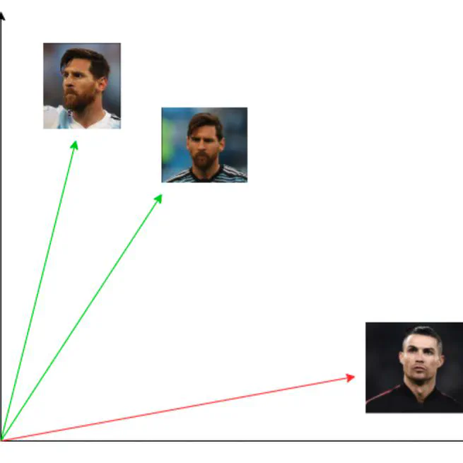 Triplet Loss Function for embedding space learning
